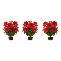 Set of 3 Hardy Hibiscus Luna Red Live Plants, Giant Dinner Plate Perennial Blooms, USDA Zones 4 to 9, Full Sun