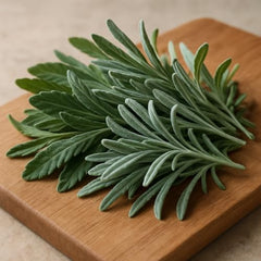 Assorted Lavender Live Plant, Fragrant Perennial Herb, Assorted Mix, USDA Zones 5 to 9, Full Sun