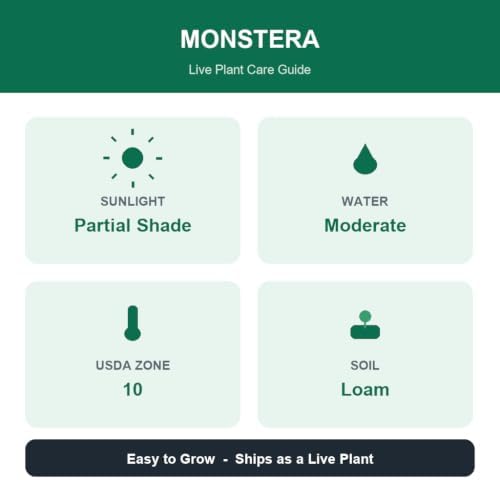 Monstera Thai Constellation Live Plant, Split Leaf Tropical Climbing Houseplant, USDA Zones 10 to 12, Partial Shade
