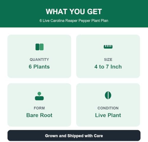 Set of 6 Carolina Reaper Pepper Live Plants, One of the Worlds Hottest Peppers, Edible, USDA Zones 9 to 11, Full Sun | One of the Worlds Hottest Peppers, Edible, USDA Zones 9 to 11, Full Sun