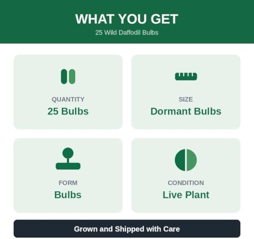 25 Wild Daffodil Bulbs - Narcissus pseudonarcissus, Yellow Spring Blooms | Ships as 25 dormant bulbs, no pot. Naturalizing wild daffodil, pale-yellow spring trumpets. Hardy USDA zones 3-10.
