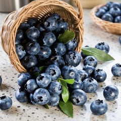 Set of 2 Sunshine Blue Blueberry Live Plants, 4-8 Inches | Dwarf Low-Chill Blueberry Bush, USDA Zones 5 to 10, Full Sun, No Pot