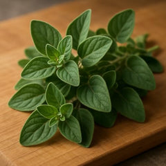 Set of 2 Greek Oregano Live Plants, Bold Flavor Culinary Herb, USDA Zones 5 to 11, Full Sun