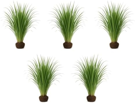 Set of 8 Lemon Grass Live Plants, 4-8 inches | Lemongrass Culinary and Mosquito Repelling Herb, USDA Zones 9 to 11, Full Sun, No Pot