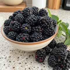 Set of 2 Navaho Thornless BlackBerry Live Plants, 4-8 Inches | Sweet Thornless Blackberry Bush, USDA Zones 6 to 10, Full Sun, No Pot