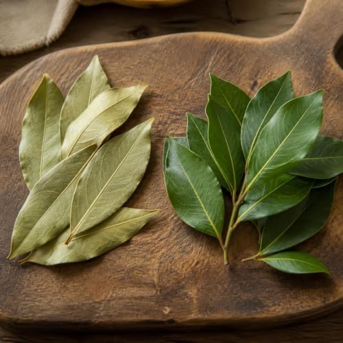 Set of 2 Mediterranean Sweet Bay Laurel Live Plants, 4-8 Inches | Culinary Evergreen Bay Leaf Herb Tree (Laurus Nobilis), USDA Zones 8 to 11, Full Sun to Partial Shade, No Pot