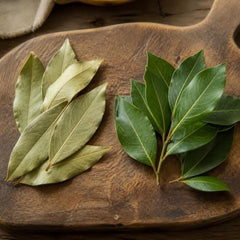Set of 2 Mediterranean Sweet Bay Laurel Live Plants, 4-8 Inches | Culinary Evergreen Bay Leaf Herb Tree (Laurus Nobilis), USDA Zones 8 to 11, Full Sun to Partial Shade, No Pot