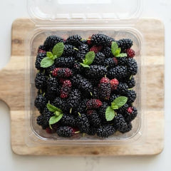 Illinois Everbearing Mulberry Live Plant, 4-8 Inches | Cold Hardy Self-Fertile Fruit Tree, USDA Zones 4 to 9, Full Sun, No Pot